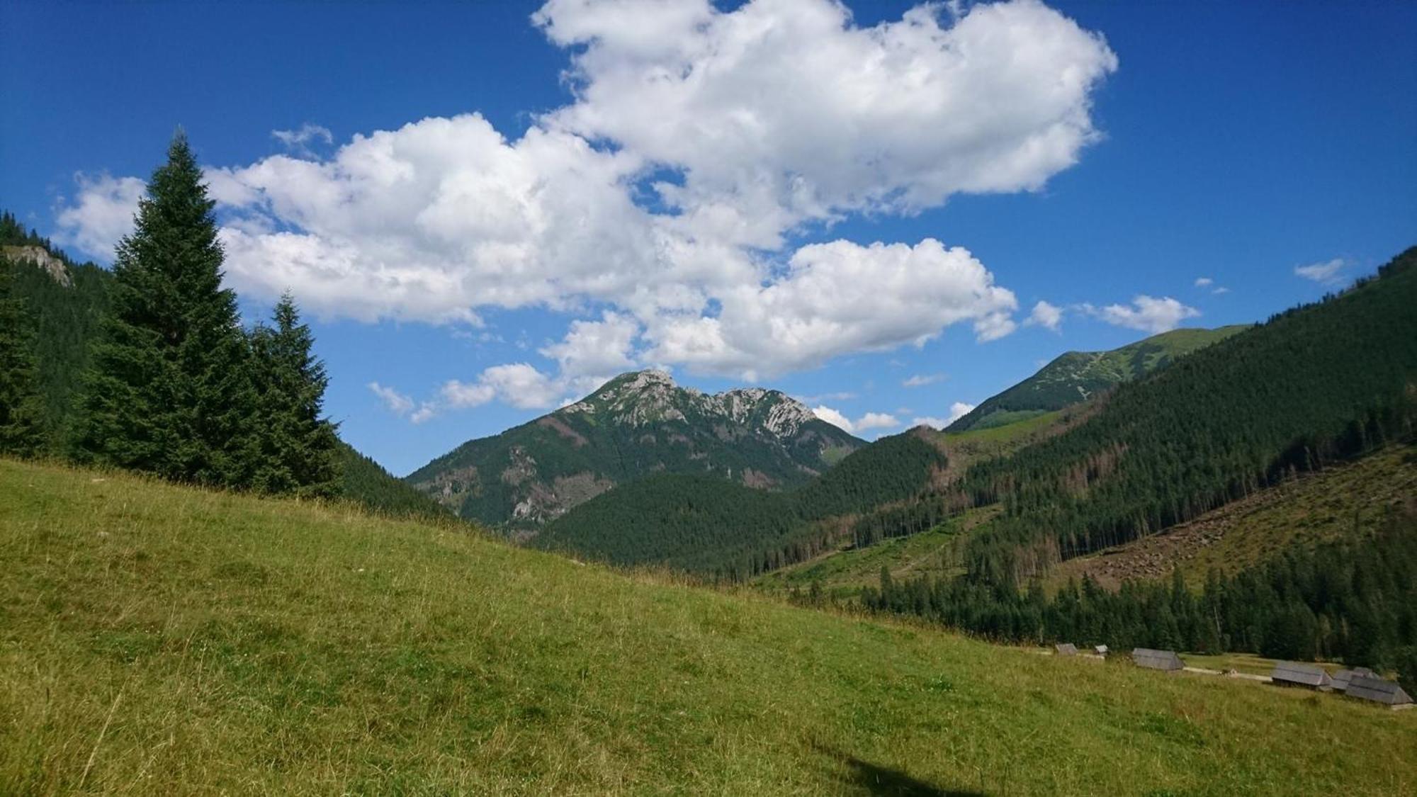 U Suchowiana Zakopane Bagian luar foto